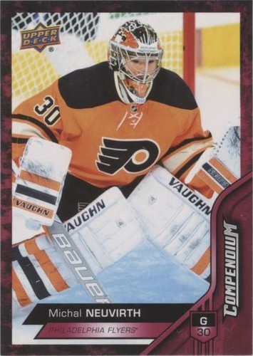 2016-17 Upper Deck Compendium - Michal Neuvirth #203