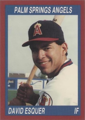 1990 Cal League California League - David Esquer #204