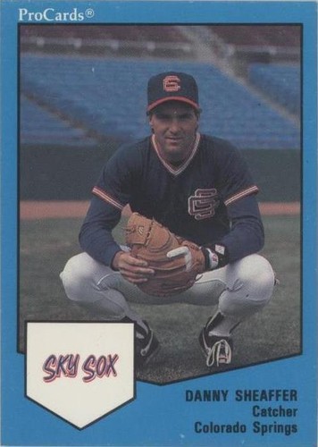 1989 ProCards Triple A - Danny Sheaffer #241