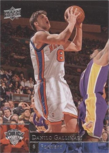 2009-10 Upper Deck - Danilo Gallinari #133