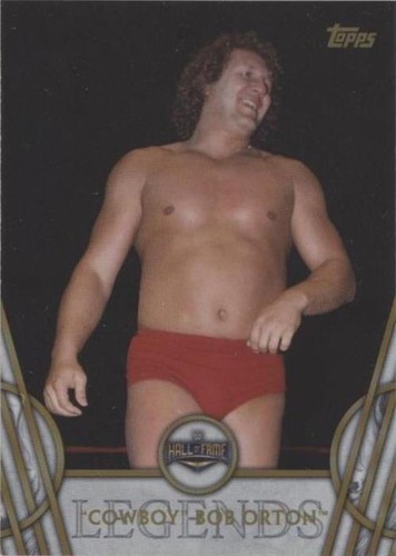 2018 Topps Legends of the WWE - Bob Orton #11