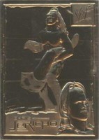 1999-2005 Danbury Mint 22k Gold WWF/E - Chris Jericho #23