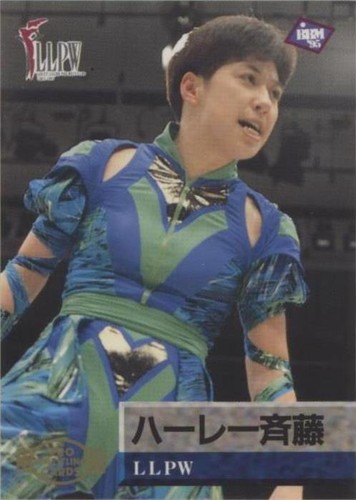 Suzuka Minami 1995 BBM Pro Wrestling #222 | eBay