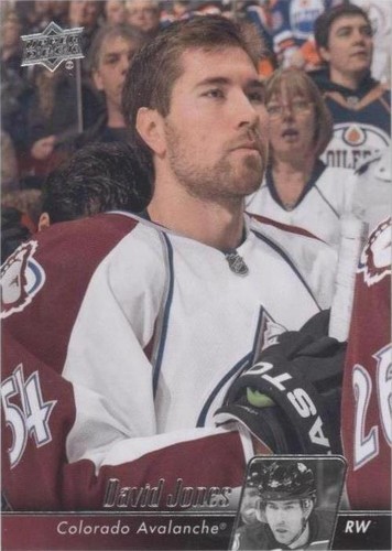 2010-11 Upper Deck - David Jones #299