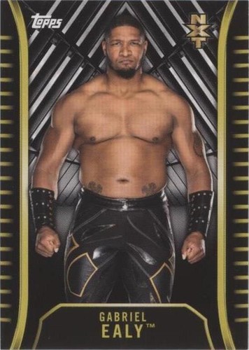 2018 Topps WWE NXT - Gabriel Ealy #R-13