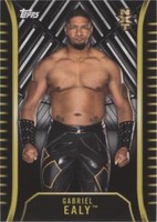 2018 Topps WWE NXT - Gabriel Ealy #R-13