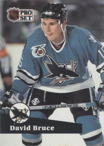 1991-92 Pro Set - David Bruce #485