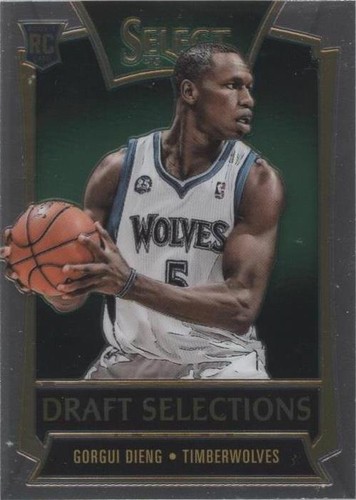2013-14 Panini Select - Gorgui Dieng #19