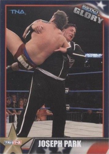 2013 TRISTAR TNA Impact Wrestling Glory - Joseph Park #19