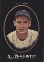 2017 Topps Allen & Ginter's X - Ted Williams #110