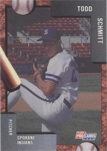 1992 Fleer ProCards Minor League - Todd Schmitt #1293