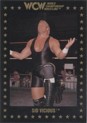 1991 Championship Marketing WCW - Sid Vicious #19