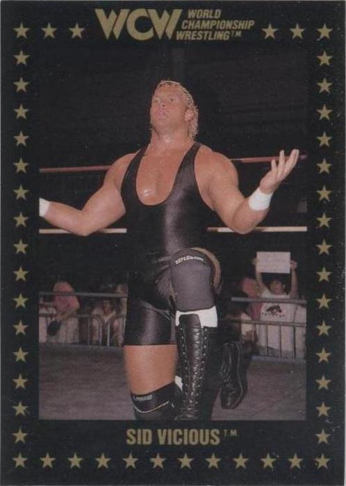 1991 Championship Marketing WCW - Sid Vicious #19