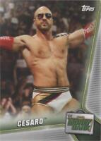 2019 Topps WWE Money in the Bank - Cesaro #22