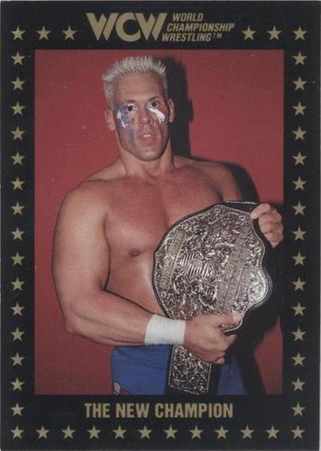 1991 Championship Marketing WCW - Sting #22