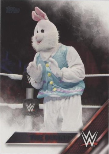 2016 Topps WWE - The Bunny #11