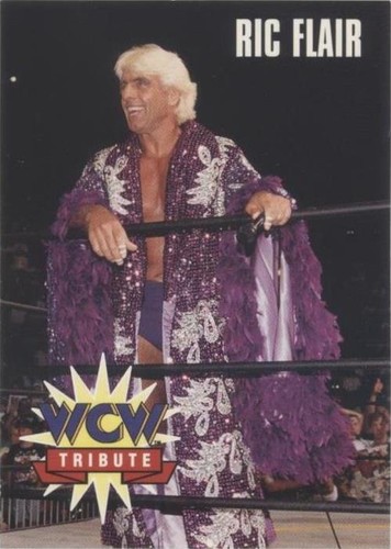 1995 CARDZ WCW Main Event - Ric Flair #78