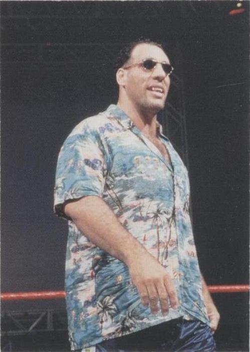 1998 Comic Images WWF Superstarz - Giant Silva #44