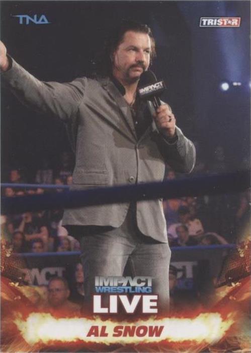2013 TRISTAR TNA Impact Wrestling Live - Al Snow #83