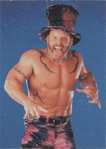 1999 Comic Images WWF SmackDown! - Darren Drosdov #15