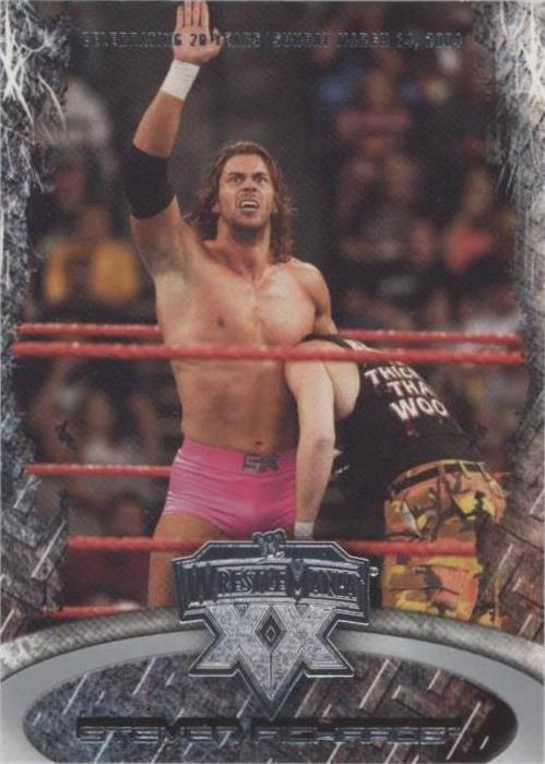 2004 Fleer WWE Wrestlemania XX - Stevie Richards #27
