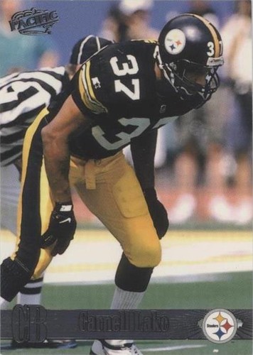 1998 Pacific Carnell Lake #341