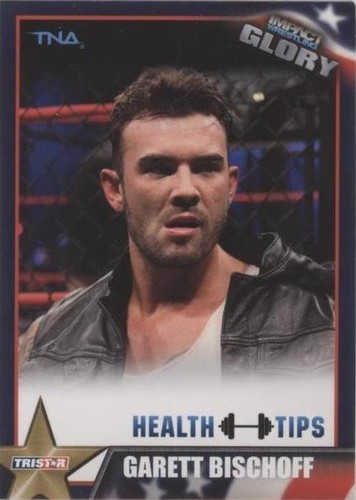 2013 TRISTAR TNA Impact Wrestling Glory - Garett Bischoff #83