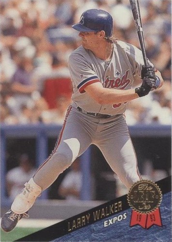 1993 Leaf - Larry Walker #392