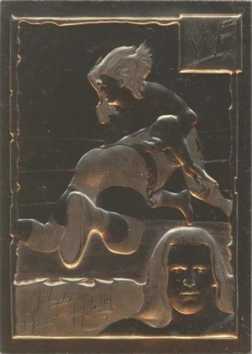 1999-2005 Danbury Mint 22k Gold WWF/E - Triple H #25