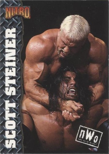WCW / NWO ( 1998 Series 1 ) TOPPS WRESTLING CHECKLIST CARD