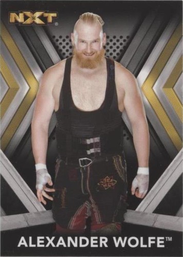 2017 Topps WWE NXT - Alexander Wolfe #3