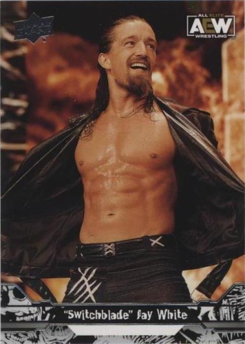 2023 Upper Deck AEW All Elite Wrestling - Jay White #64