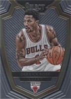 2014-15 Panini Select - Derrick Rose #107