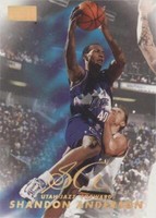1998-99 Skybox Premium - Shandon Anderson #12