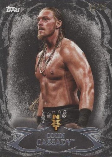 2015 Topps WWE Undisputed - Colin Cassady #NXT 20
