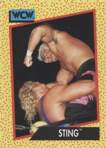 1991 Impel WCW - Sting #5