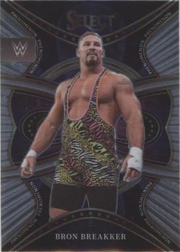 2022 Panini Select WWE - Bron Breakker #29