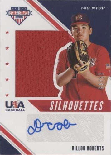 2020 Panini USA Baseball Stars & Stripes - Dillon Roberts #USJ-DI