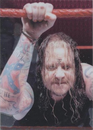 1999 Comic Images WWF SmackDown! Chromium - Mideon #24