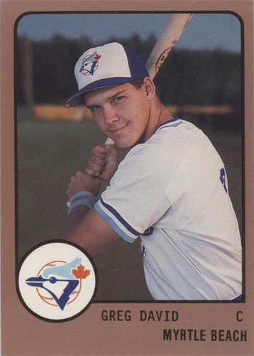 1988 ProCards Minor League - Greg David #1176