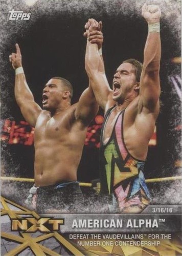 2017 Topps WWE NXT - American Alpha #25