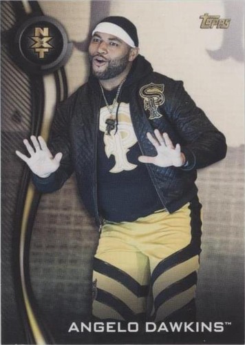 2019 Topps WWE NXT - Angelo Dawkins #4