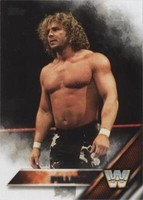 2016 Topps WWE Then Now Forever - Brian Pillman #157