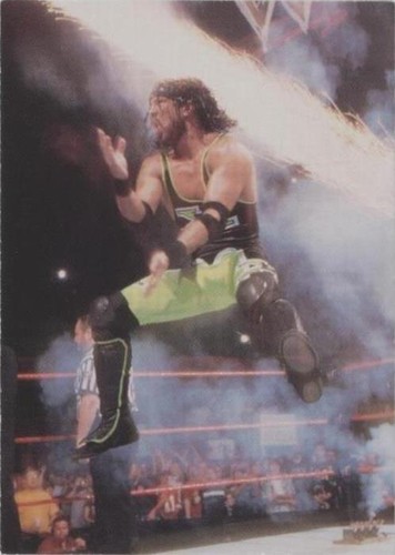 1999 Comic Images WWF SmackDown! - 1-2-3 Kid #7