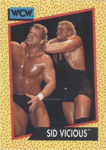 1991 Impel WCW - Sid Vicious #34