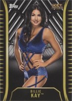2018 Topps WWE NXT - Billie Kay #R-39