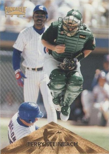 1996 Pinnacle - Terry Steinbach #284