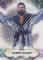 2021 Topps WWE - Robert Roode #160