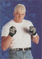 1998 Comic Images WWF Superstarz - Dustin Rhodes #29