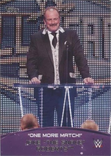 2015 Topps WWE - Jake "The Snake" Roberts #9